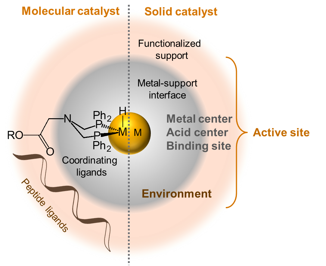 The Core Basic Energy Sciences Catalysis Program is organized into two primary thrust areas. 