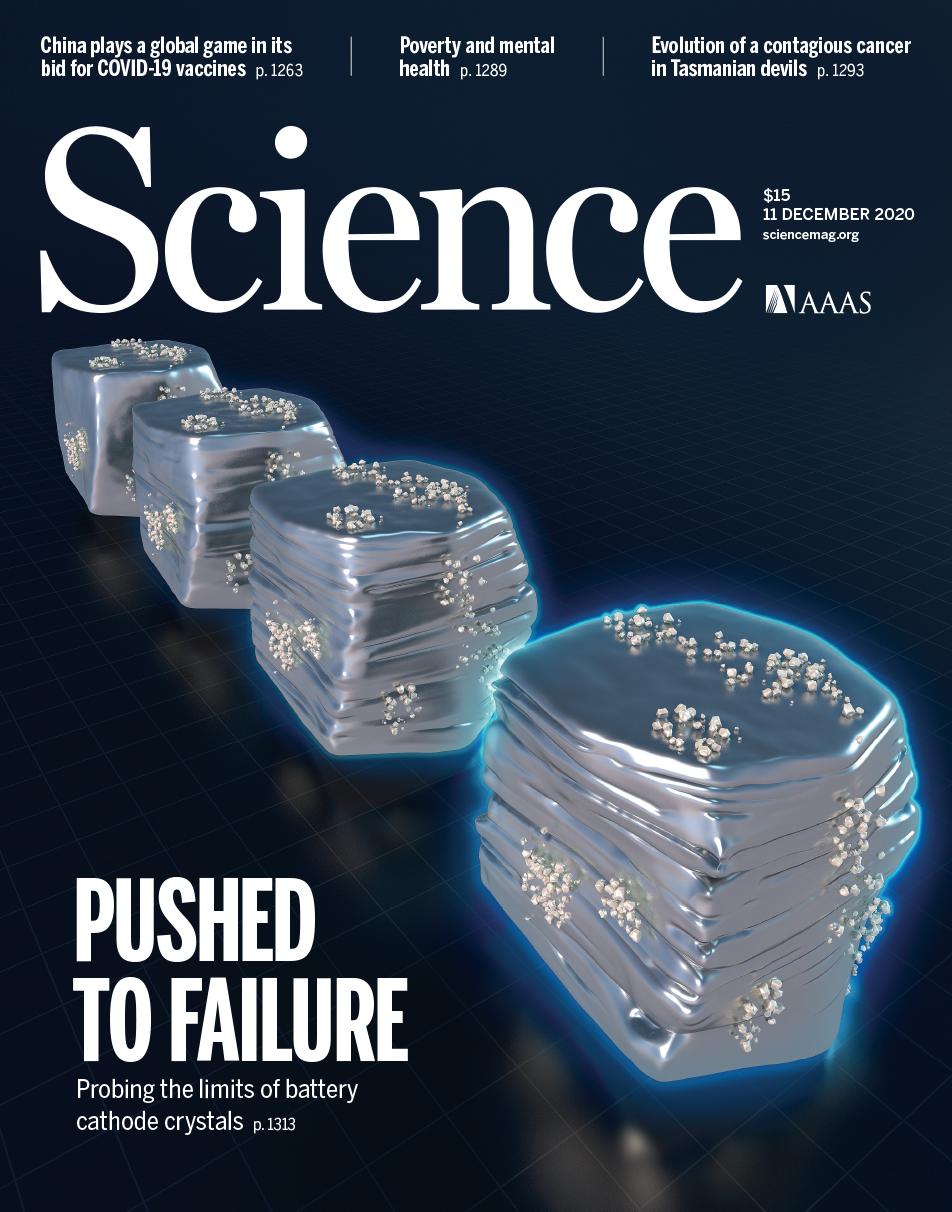 Image of cover of the journal Science