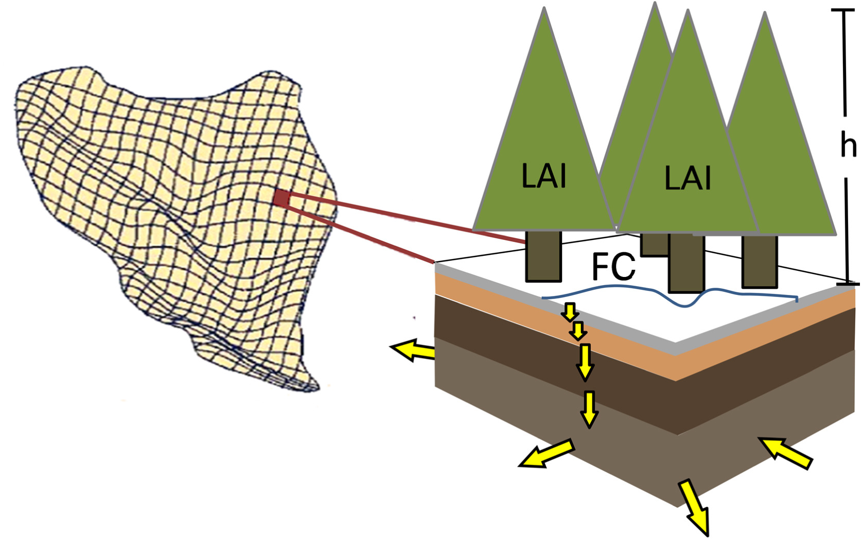 A simple computer drawing showing layers of soil under evergreen trees and a net to symbolize data capture.