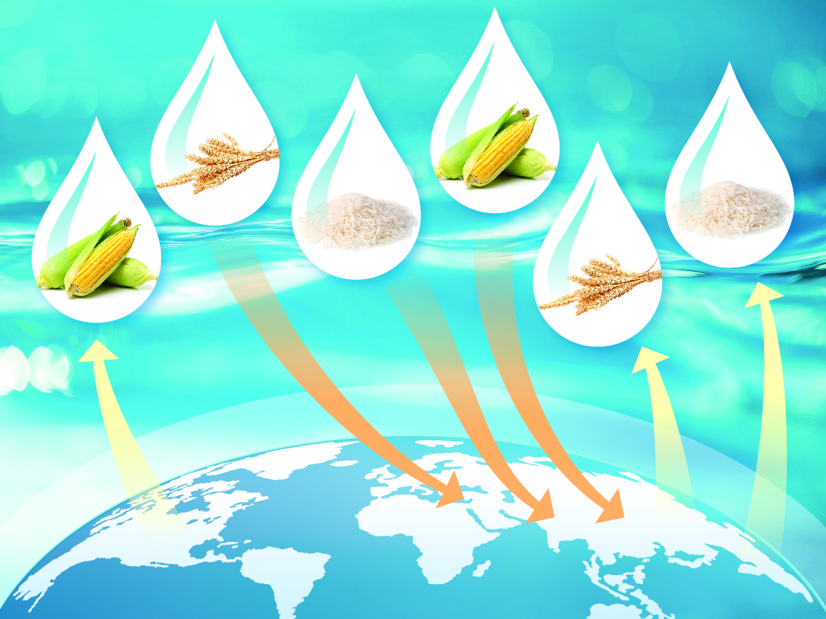 pictures of corn, rice, and wheat inside water droplets traveling into and out of various regions on the globe
