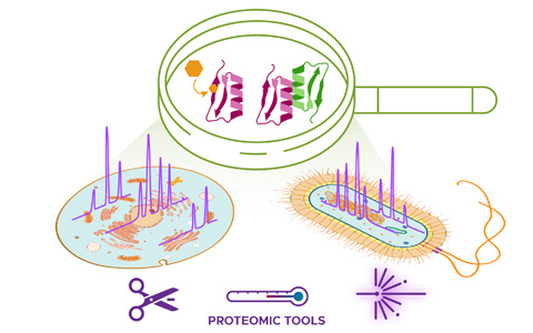 Illustration of Melchior's phenotyping project.