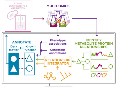 McDermott's VALPAS project for PPI