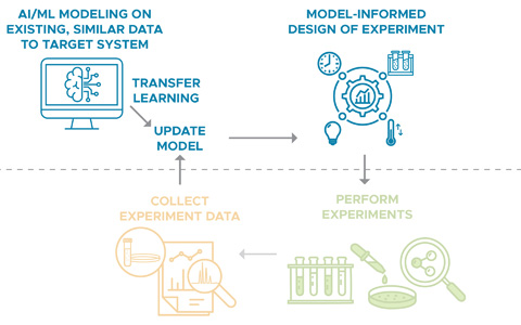 Illustration of Stratton's PPI project.