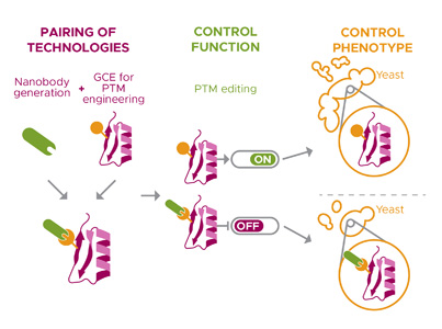 An illustration about Van Fossen's PPI project.