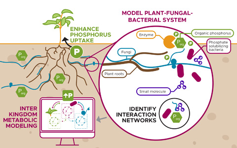 Illustration of Couvillion's PPI project.