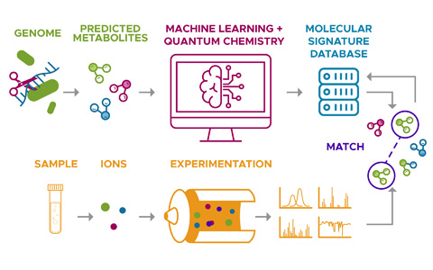 Illustration of Met's PPI project.