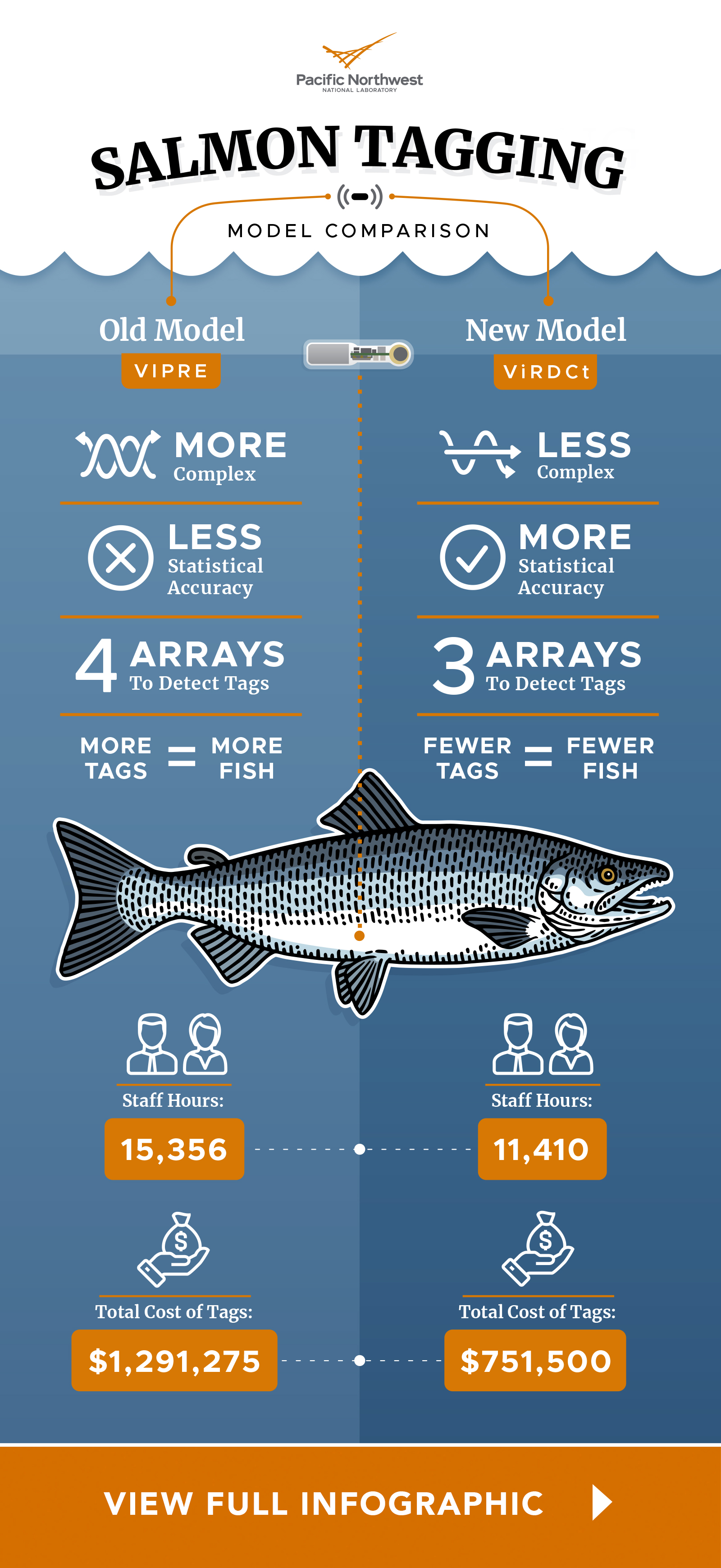 Salmon Tagging Infographic 2020