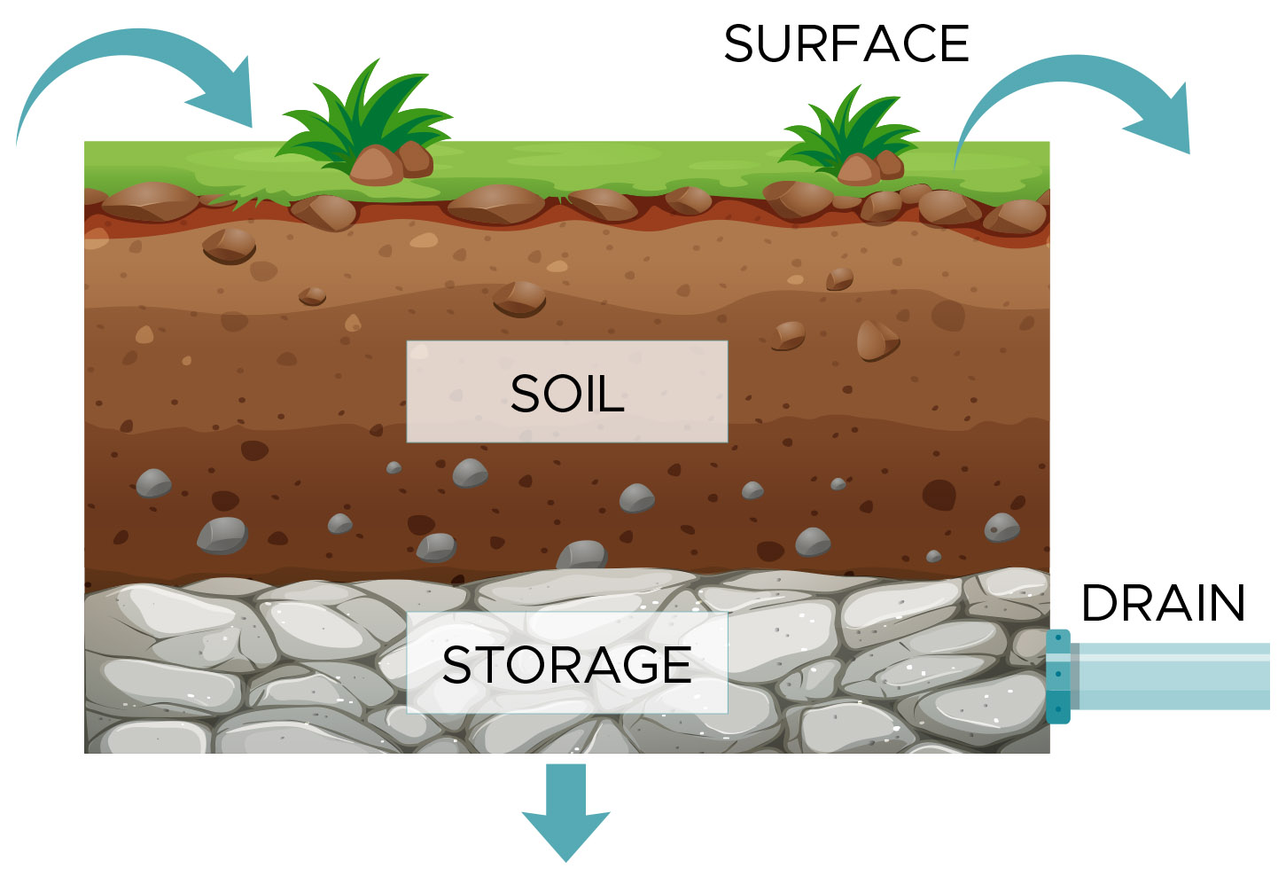 Illustration of bioretention unit layers