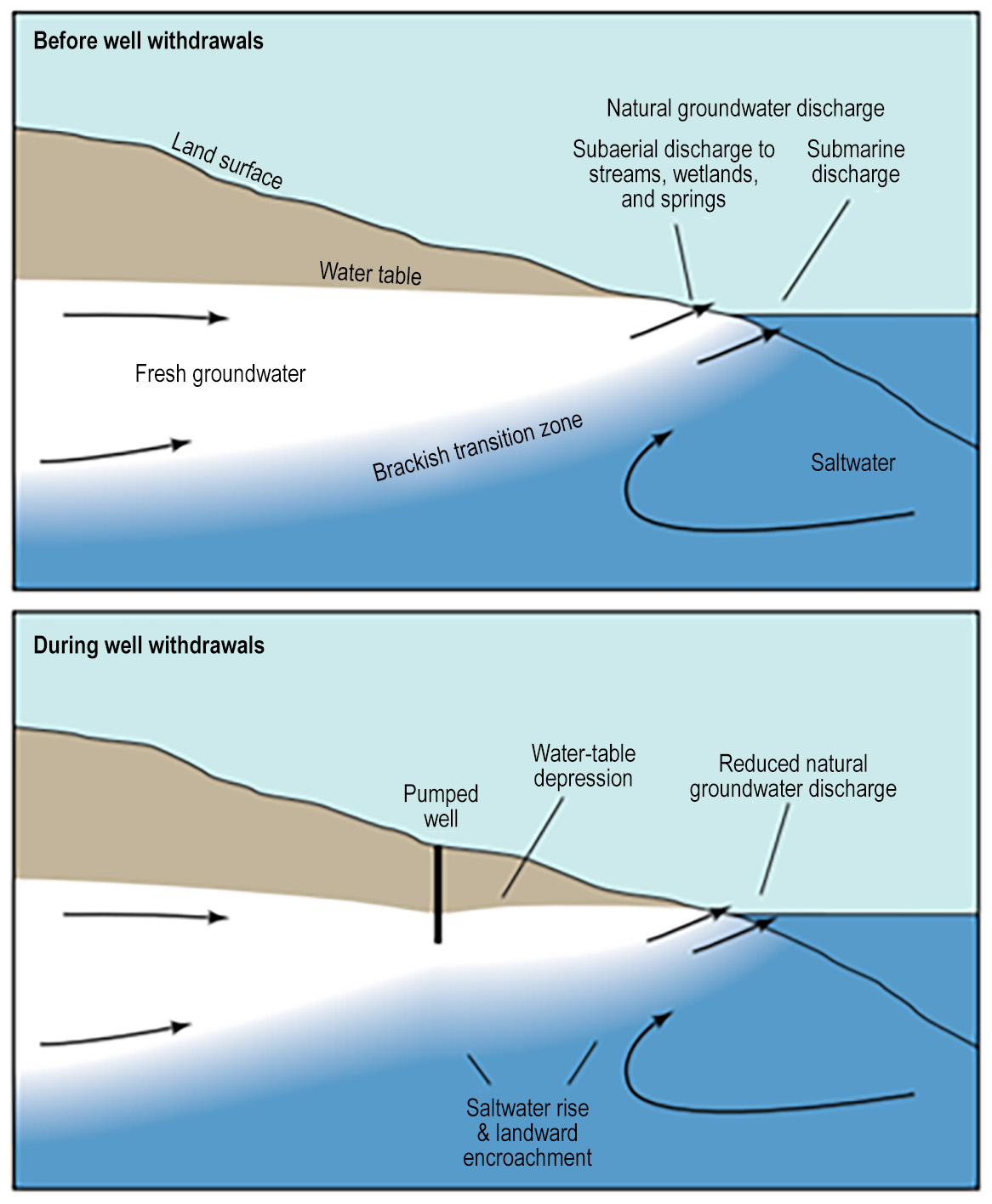 Conceptual model of groundwater flow and water table response to withdrawals from an island aquifer