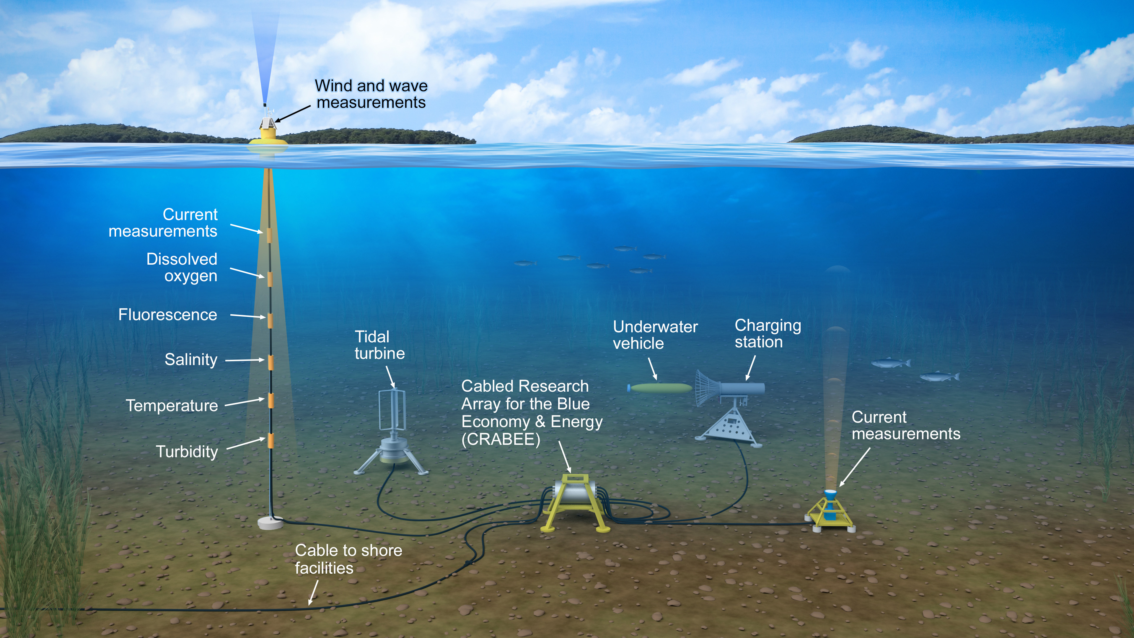 PNNL-Sequim's Cabled Research Array for the Blue Economy and Energy (CRABEE)