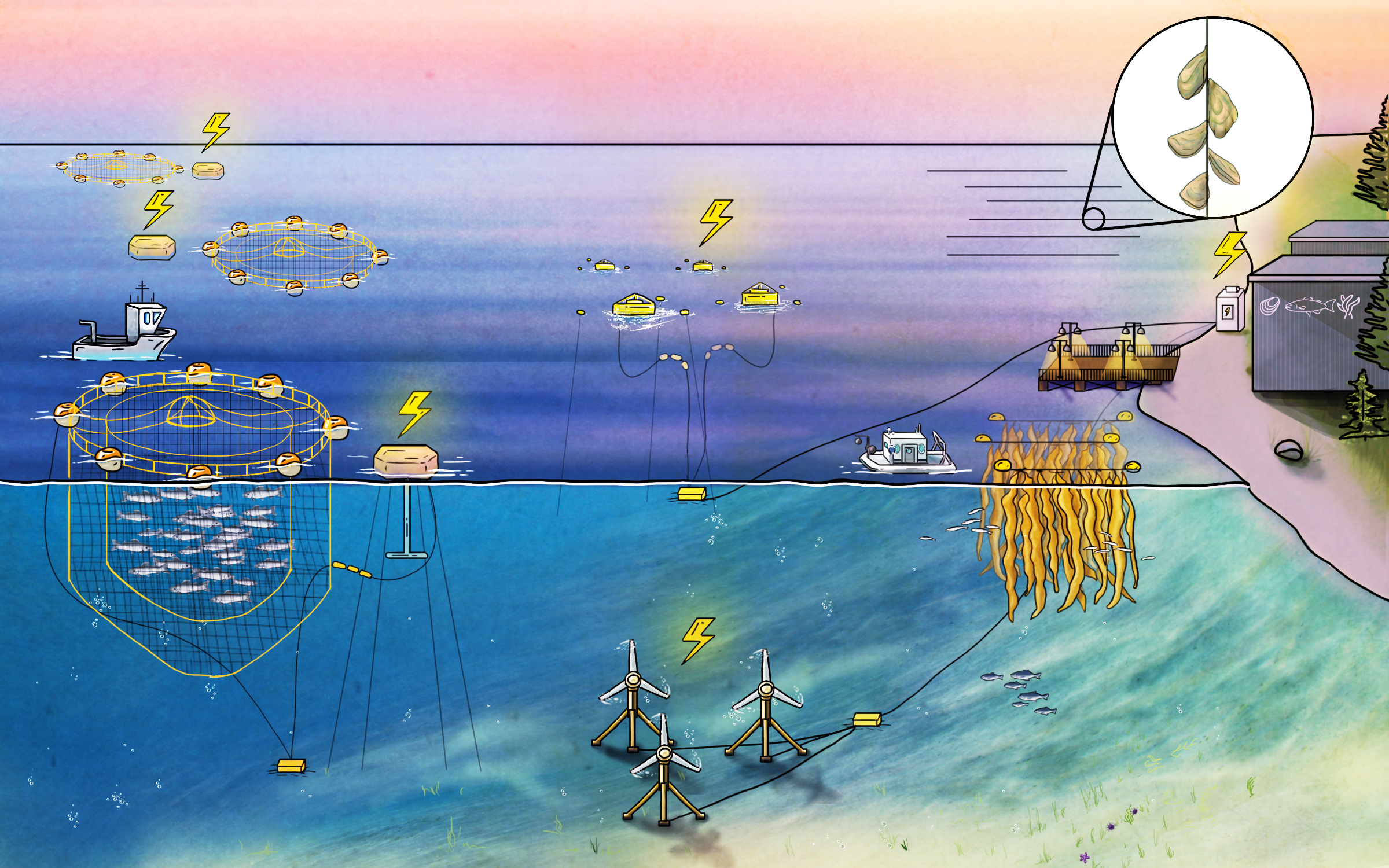 Illustration of opportunities to power aquaculture operations using marine energy. 