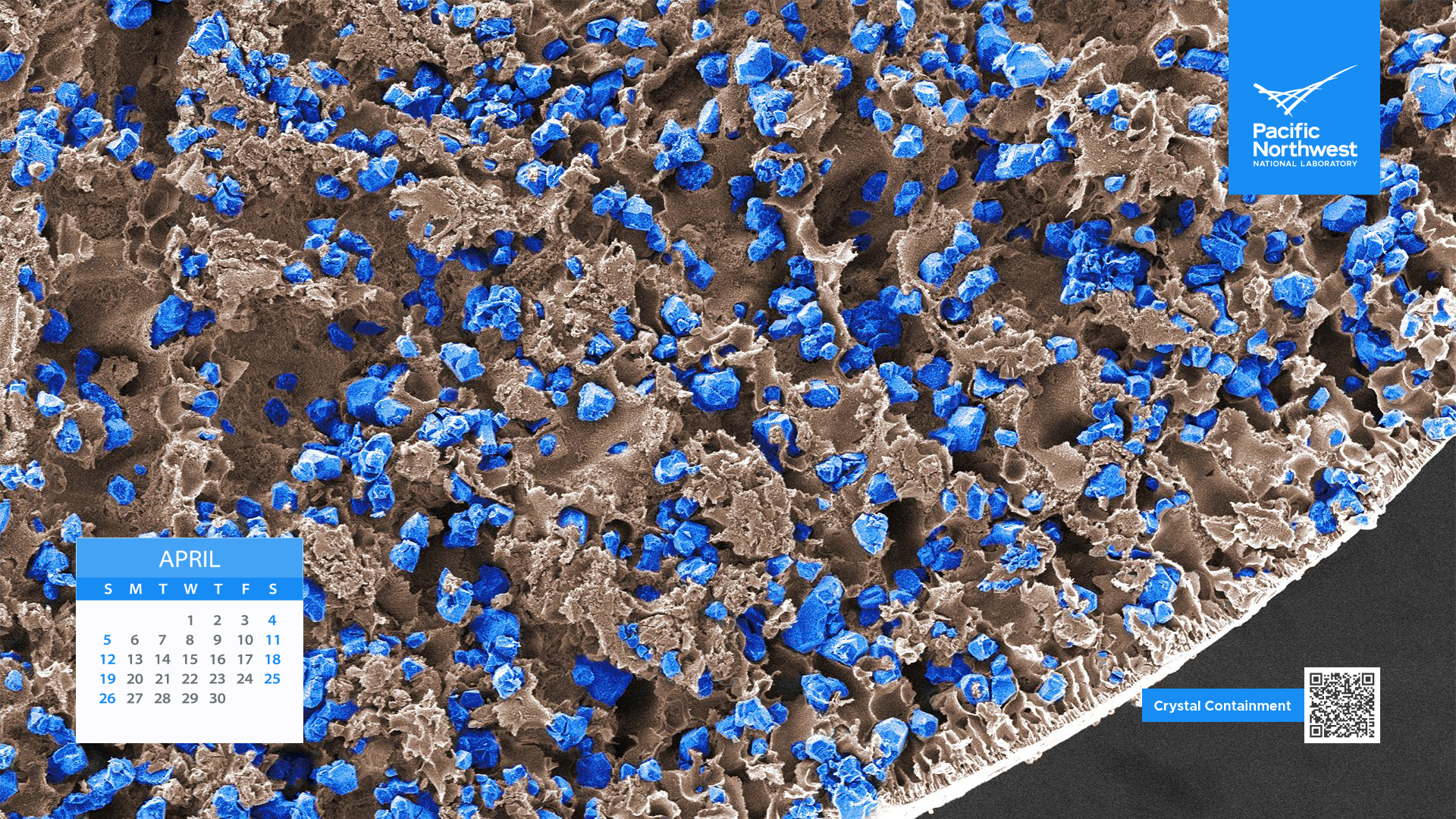 Science as Art Calendar - April 2026