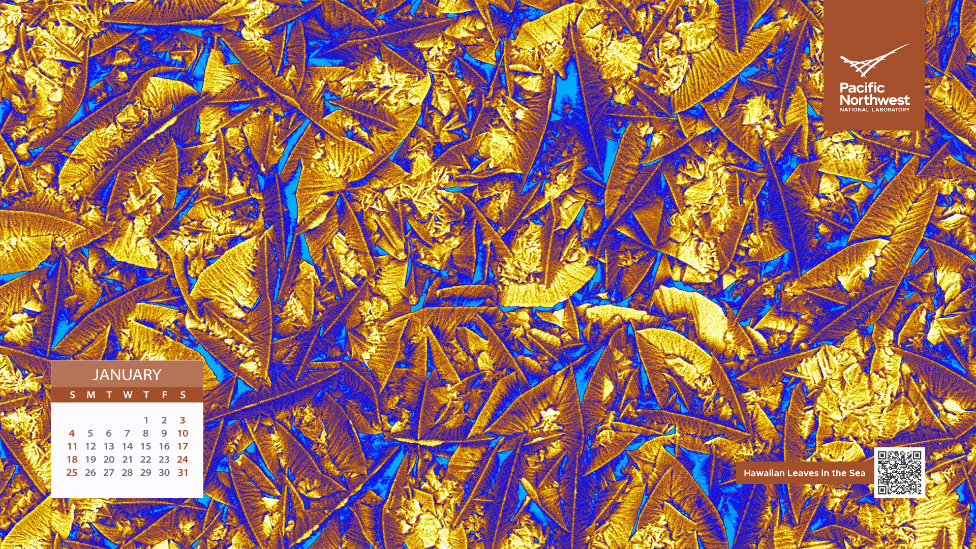 Science as Art Calendar - Jan. 2026