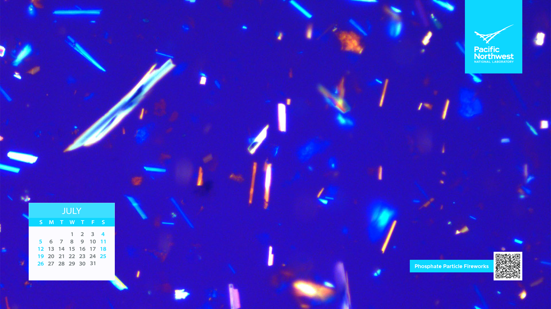 Science as Art Calendar - July 2026