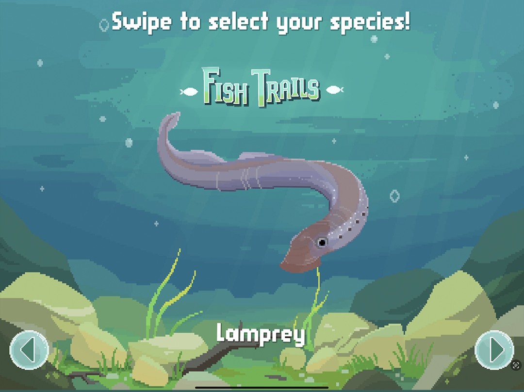 Image shows a Fish Trails game screen. On the screen is a pacific lamprey.