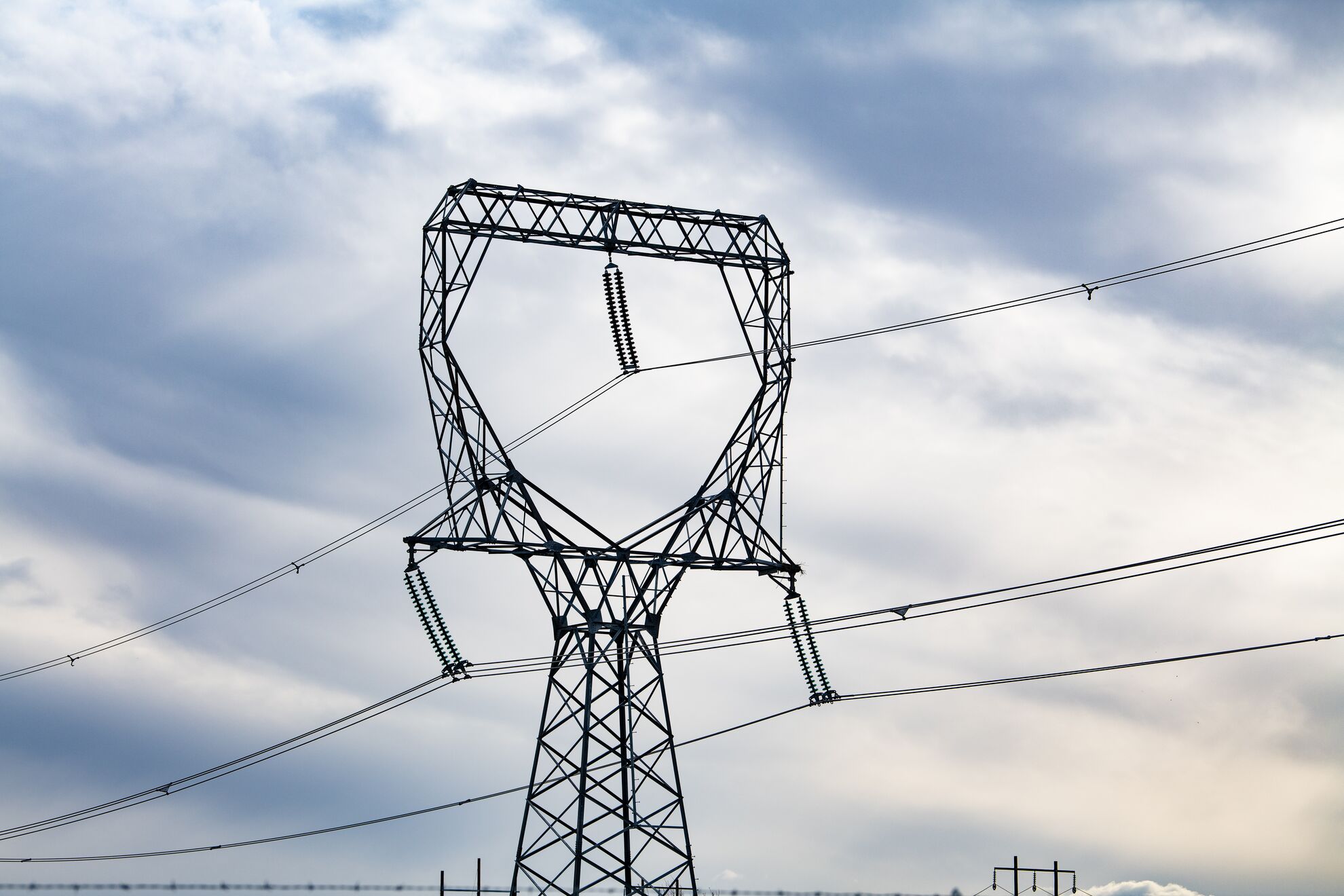 Electric grid transmission lines