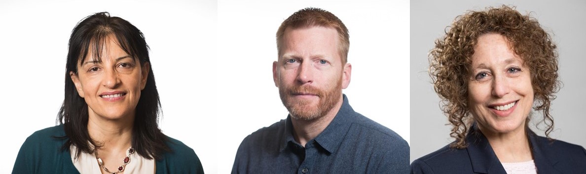 Elemental co-localization authors