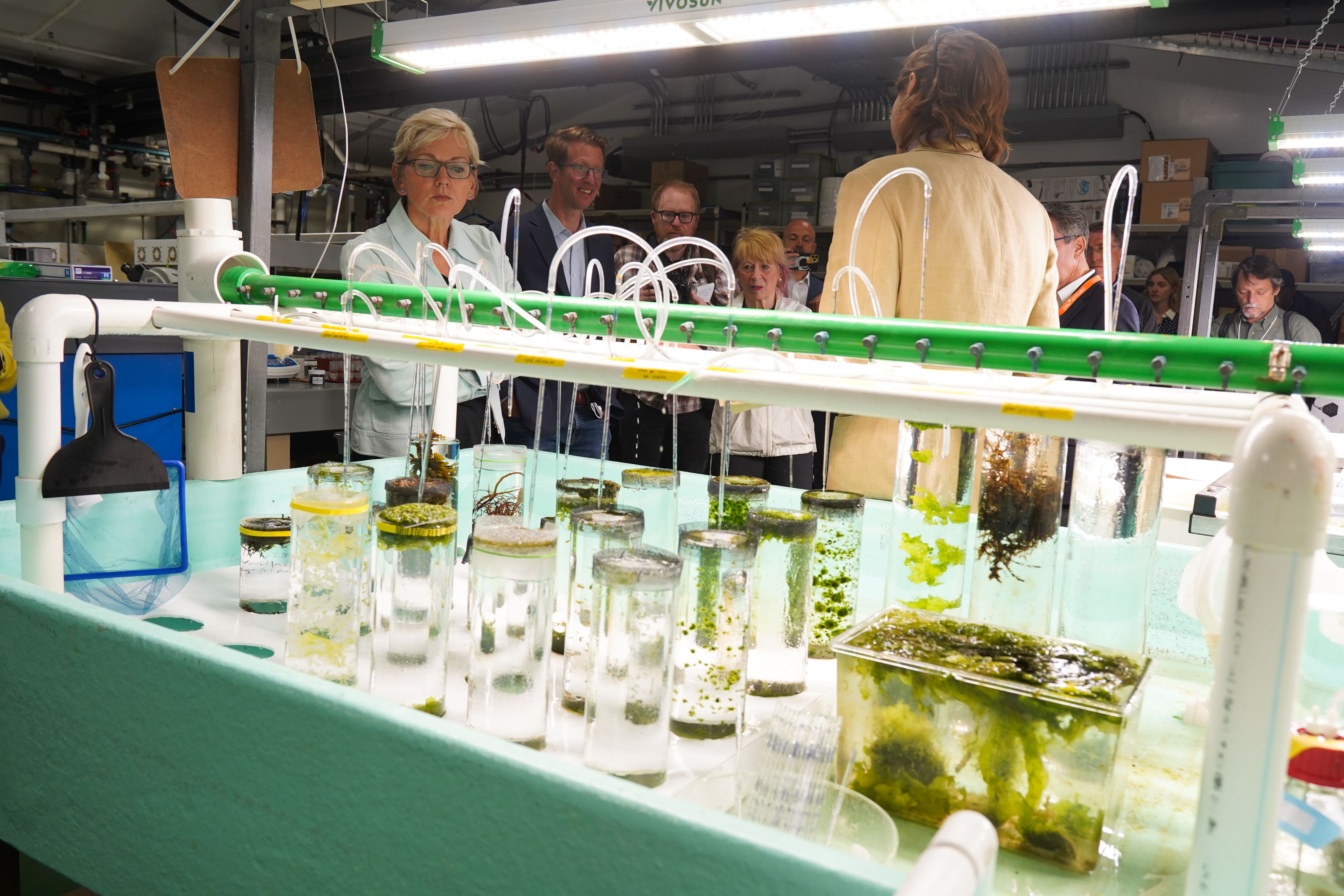 Photo of Department of Energy Secretary Jennifer Granholm, along with Representative Derek Kilmer, and Geri Richmond, DOE Under Secretary for Science and Innovation, learning about PNNL’s algae research during their tour of the PNNL-Sequim campus in 2022.