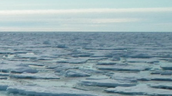 Sea ice