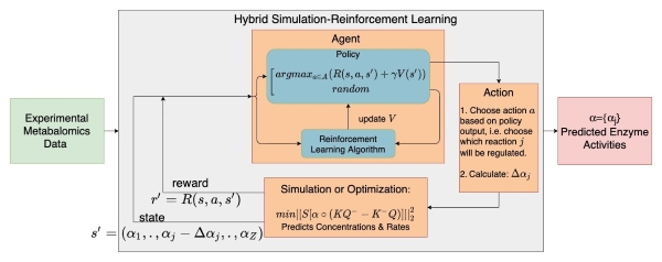 Hybrid Simulation-Reinforcement Learning resize