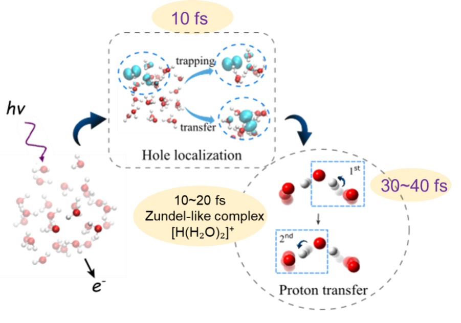 Scientific figure showing IDREAM research into the very fast processes following photoionization of water.