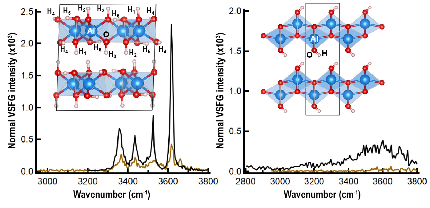 Scientific figure showing IDREAM research with vibrational sum frequency generation spectroscopy.