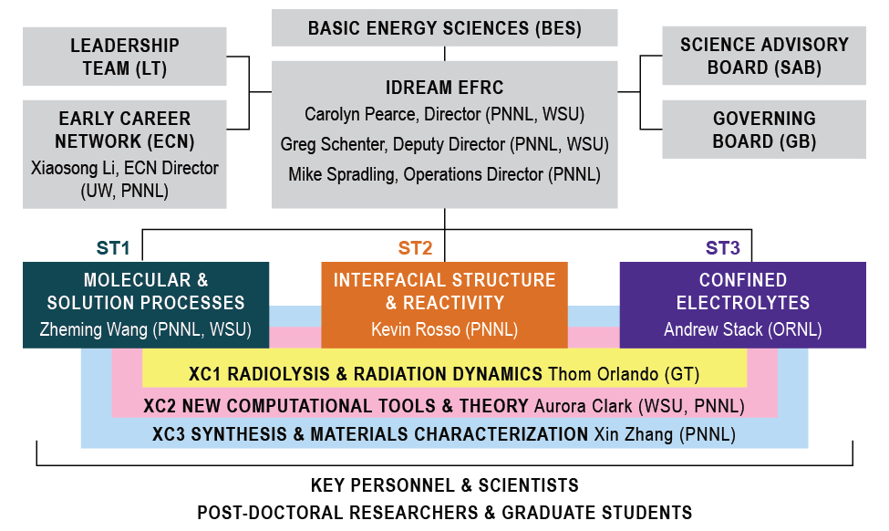 organization chart showing the structure and key leaders for the IDREAM EFRC