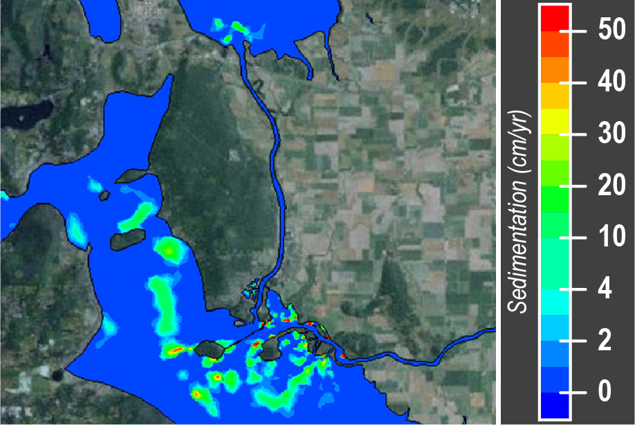 sediment deposition rates Skagit-Padilla Bay