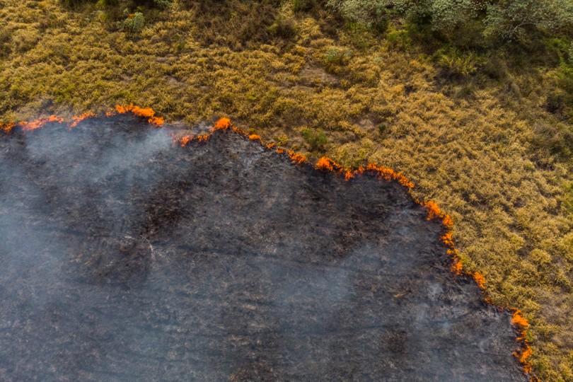 Aerial view of a fire burn line (stock image)
