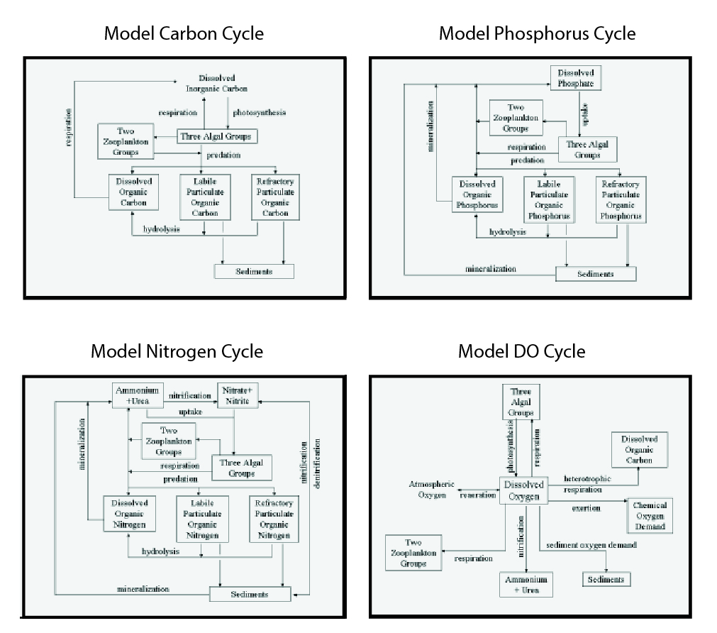 SSM Cycles