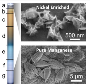 Magnified images of enriched nickel at 500nm and pure manganese at 5 um