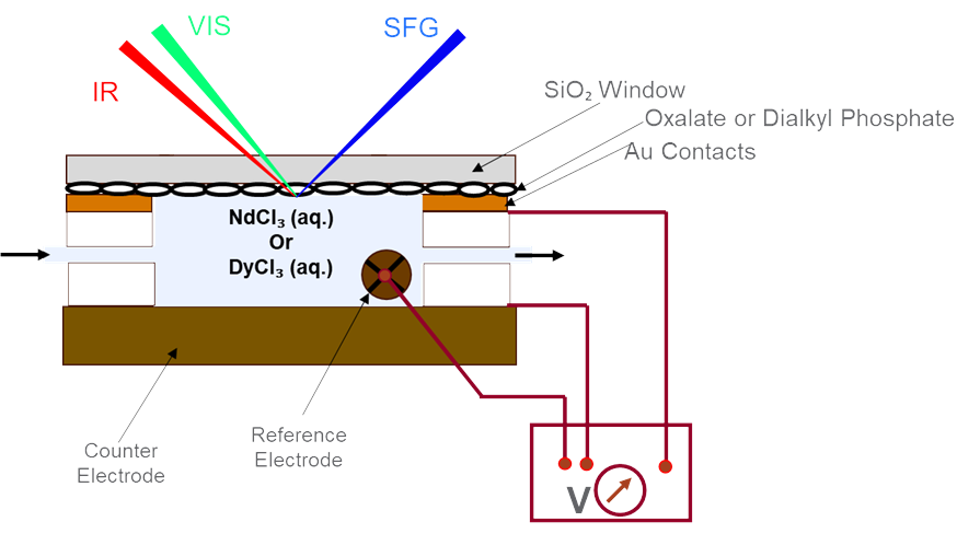Probing External Field Effects on Rare Earth Element Separations at Liquid/Liquid Interfaces