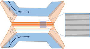 Understanding the Mechanisms of Selective Crystal Nucleation and Growth Using In Situ Electron Microscopy