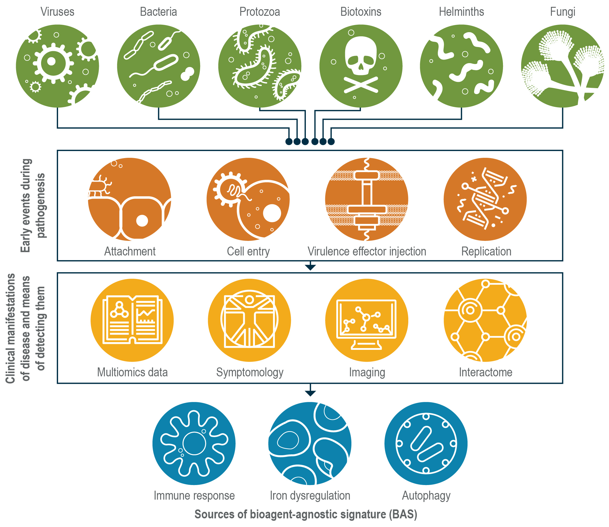 bioagents