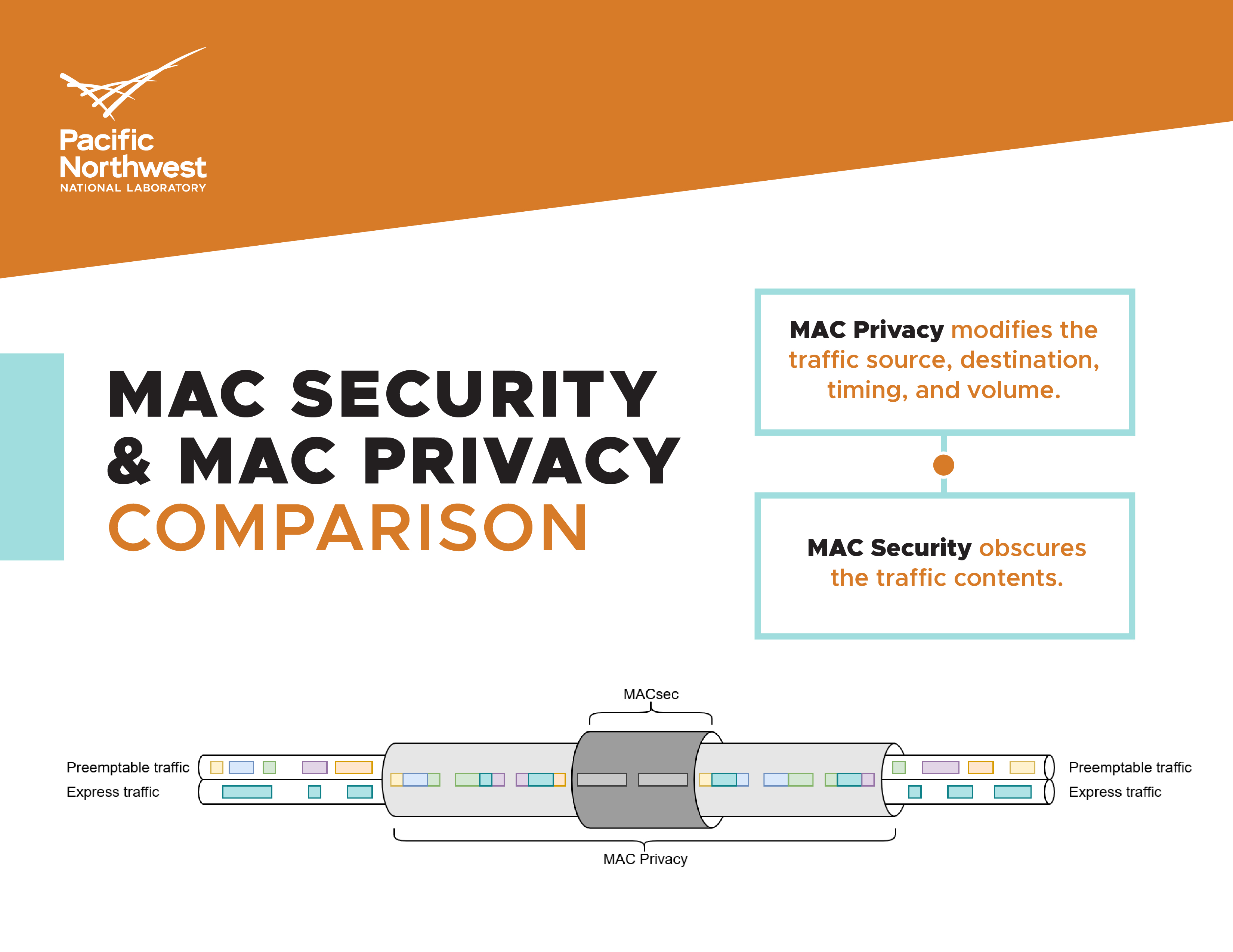 MACsec privacy