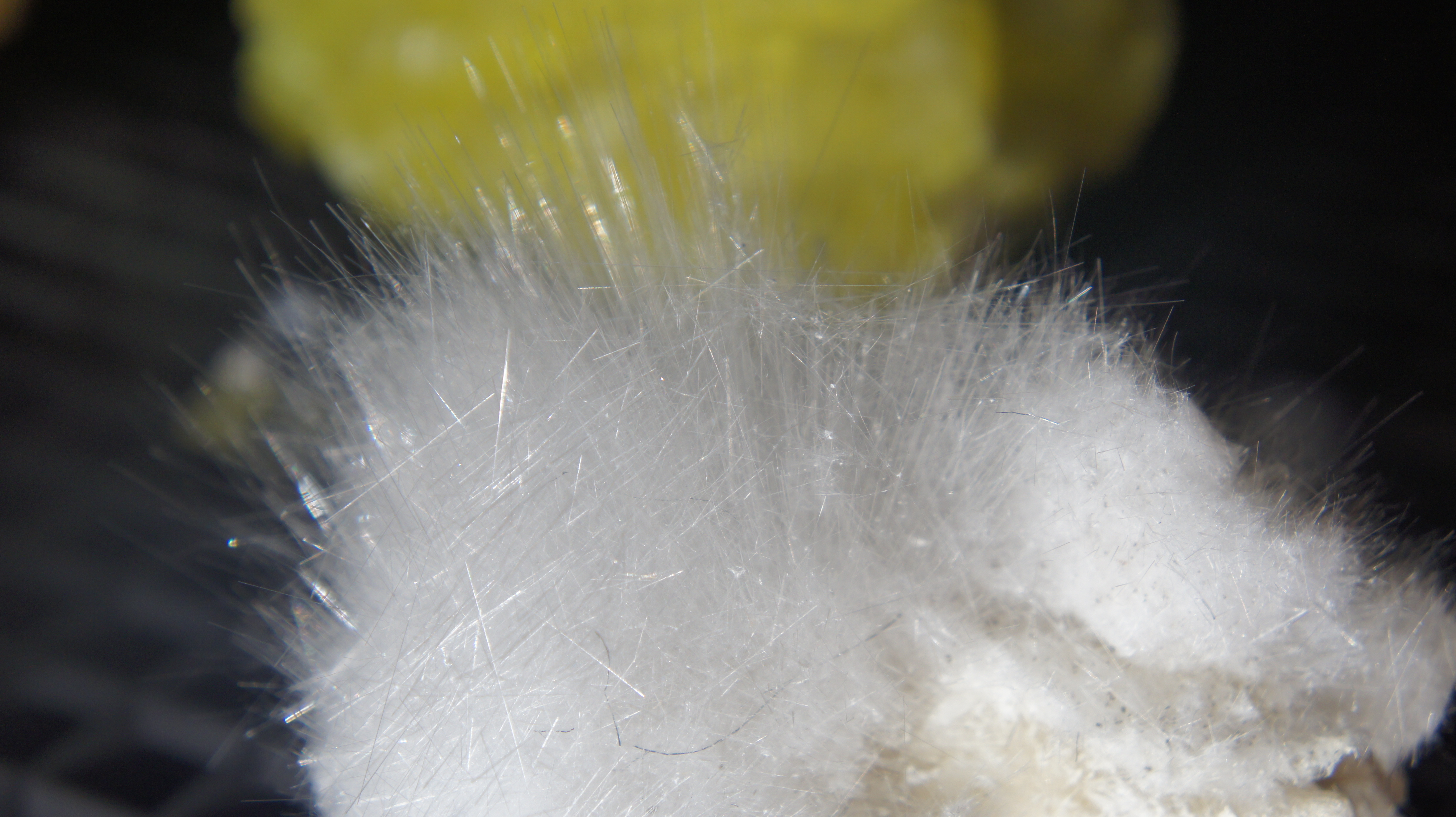 Close up photograph of a natural zeolite that has fuzzy-looking, spikey white crystals