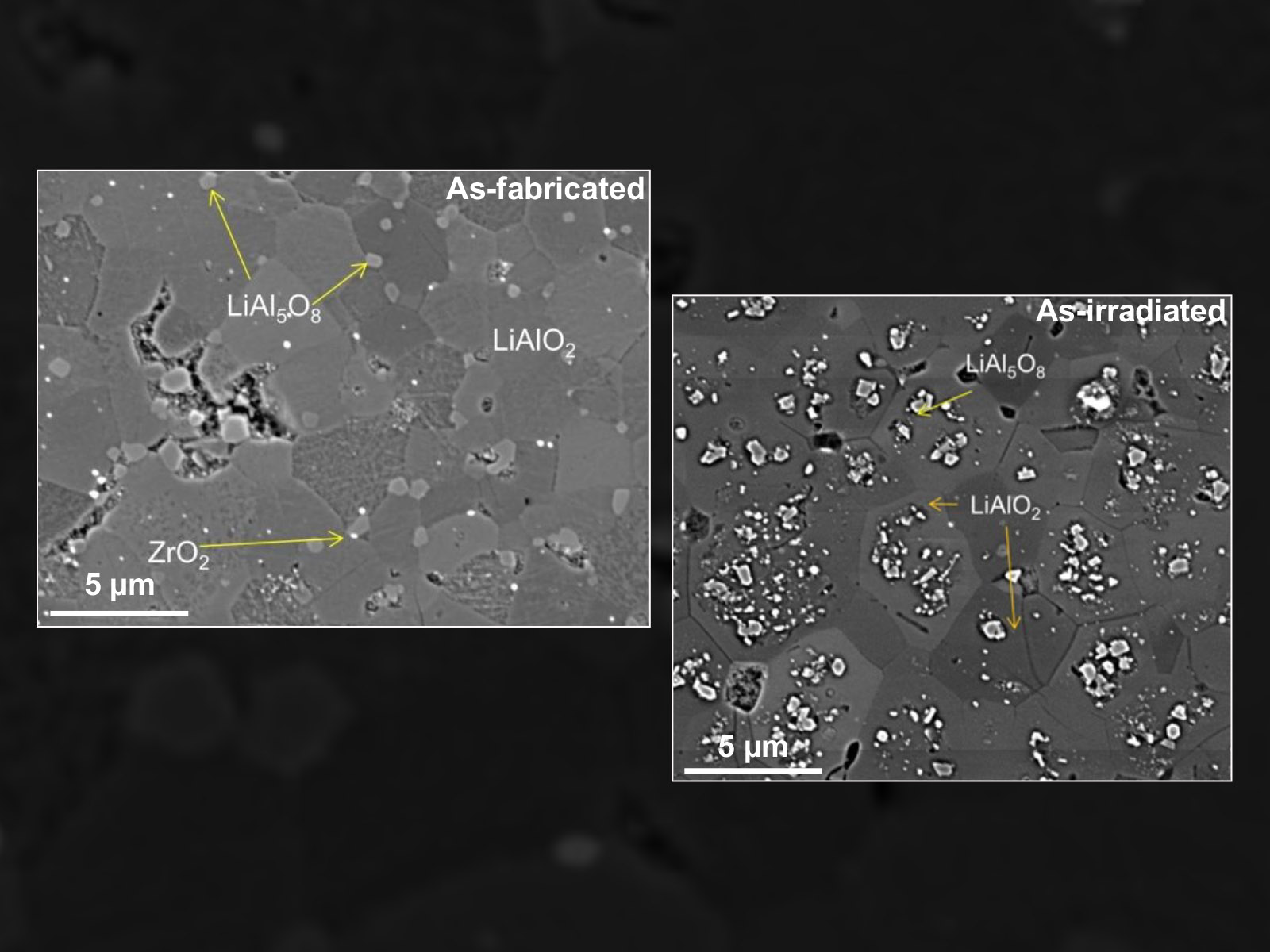 nuclear material science