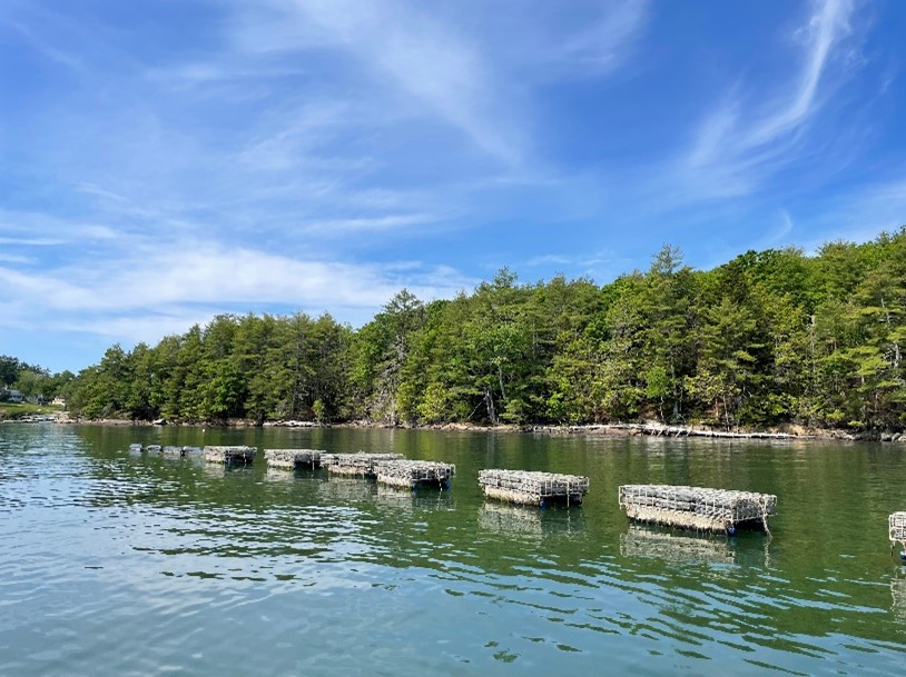 floating cages for oyster farming on the water at Ferda Farms in Brunswick, Maine