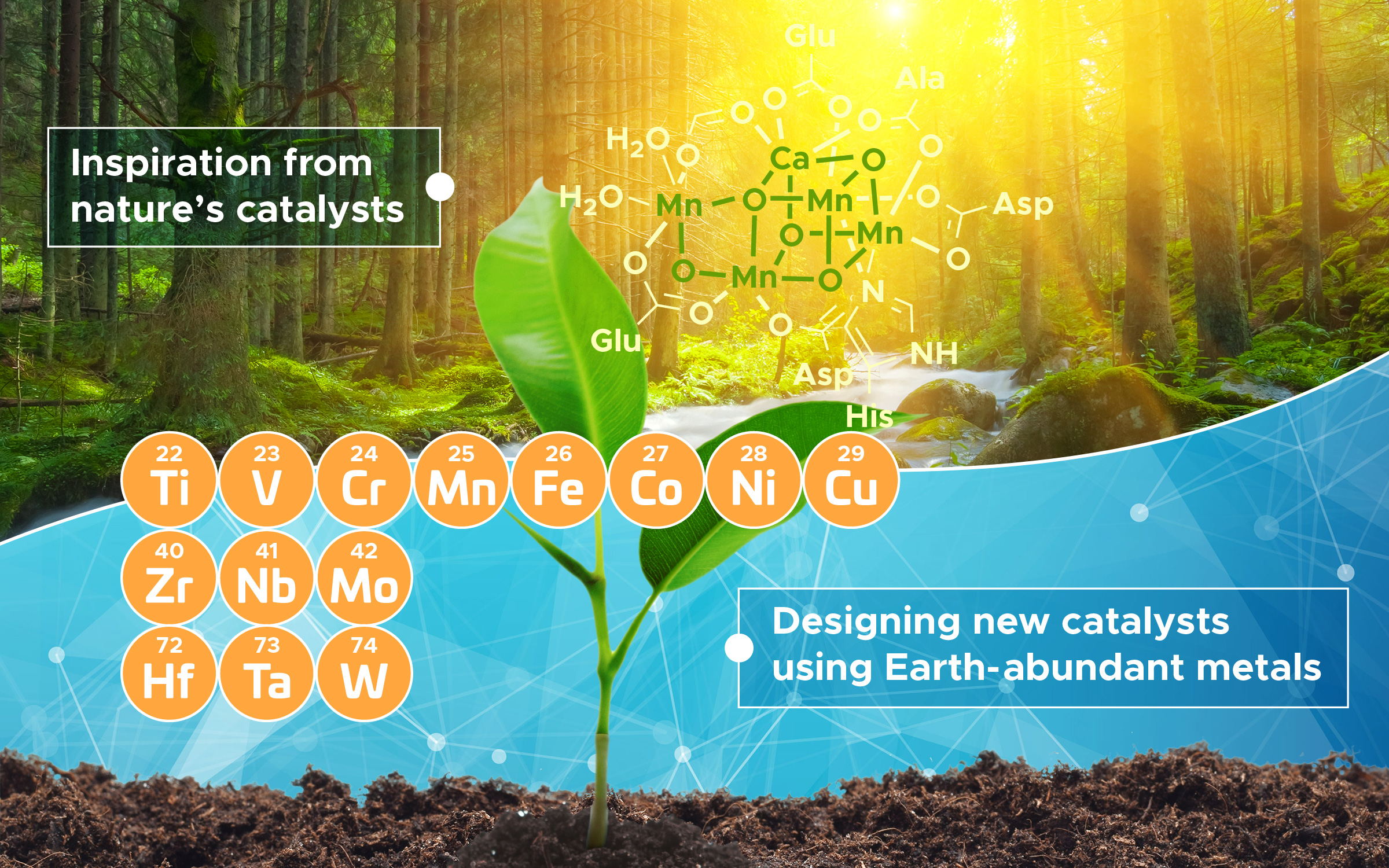 Graphic for Science Article on EAMs