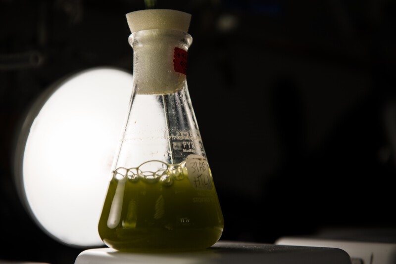 Biofuels represent one potential alternative fuel that could help the maritime industry decarbonize (Andrea Starr | PNNL). 