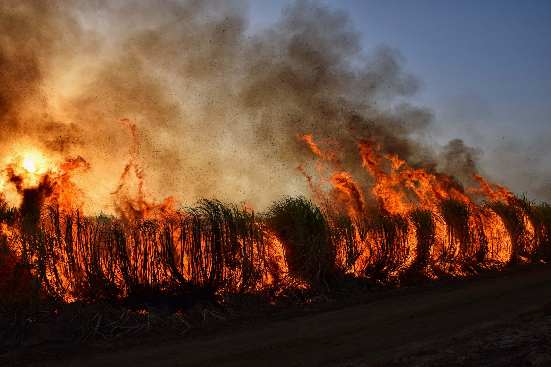 Glowing flames engulf brush on a mostly cloudless day, as puffs of black smoke rise into the atmosphere.