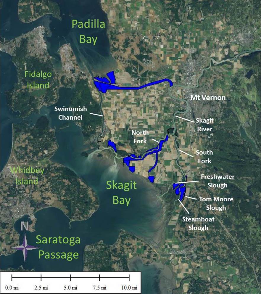 Skagit Bay