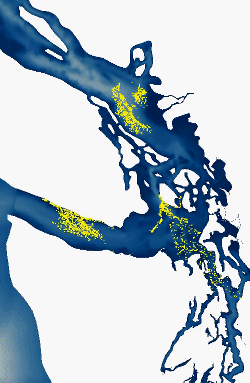 tidal transport