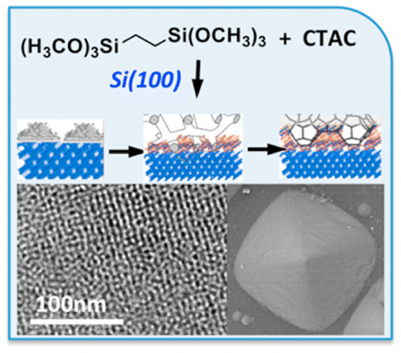 Shusko_Catalysts