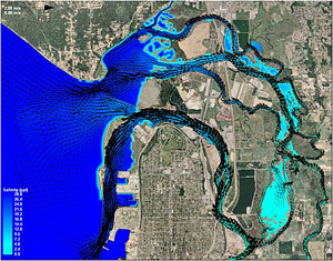 Snohomish Surface Salinity
