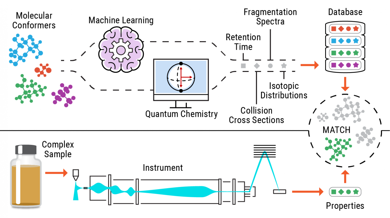 An illustration of a standards-free identification process of metabolites