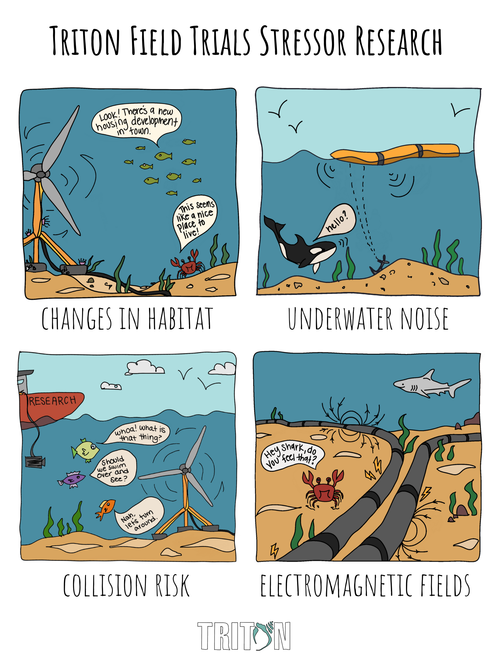 A series of cartoon depicting the four stressor Triton studies, including changes in habitat, underwater noise, collision risk, and electromagnetic fields. 