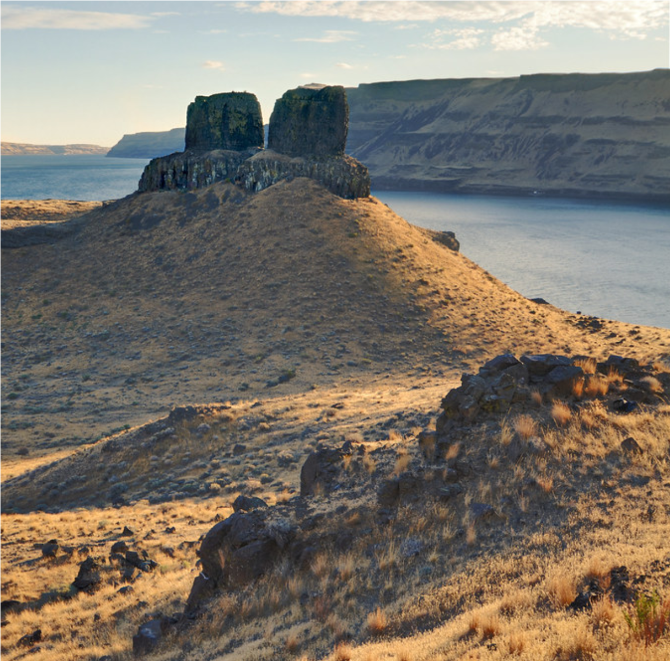 Wallula site