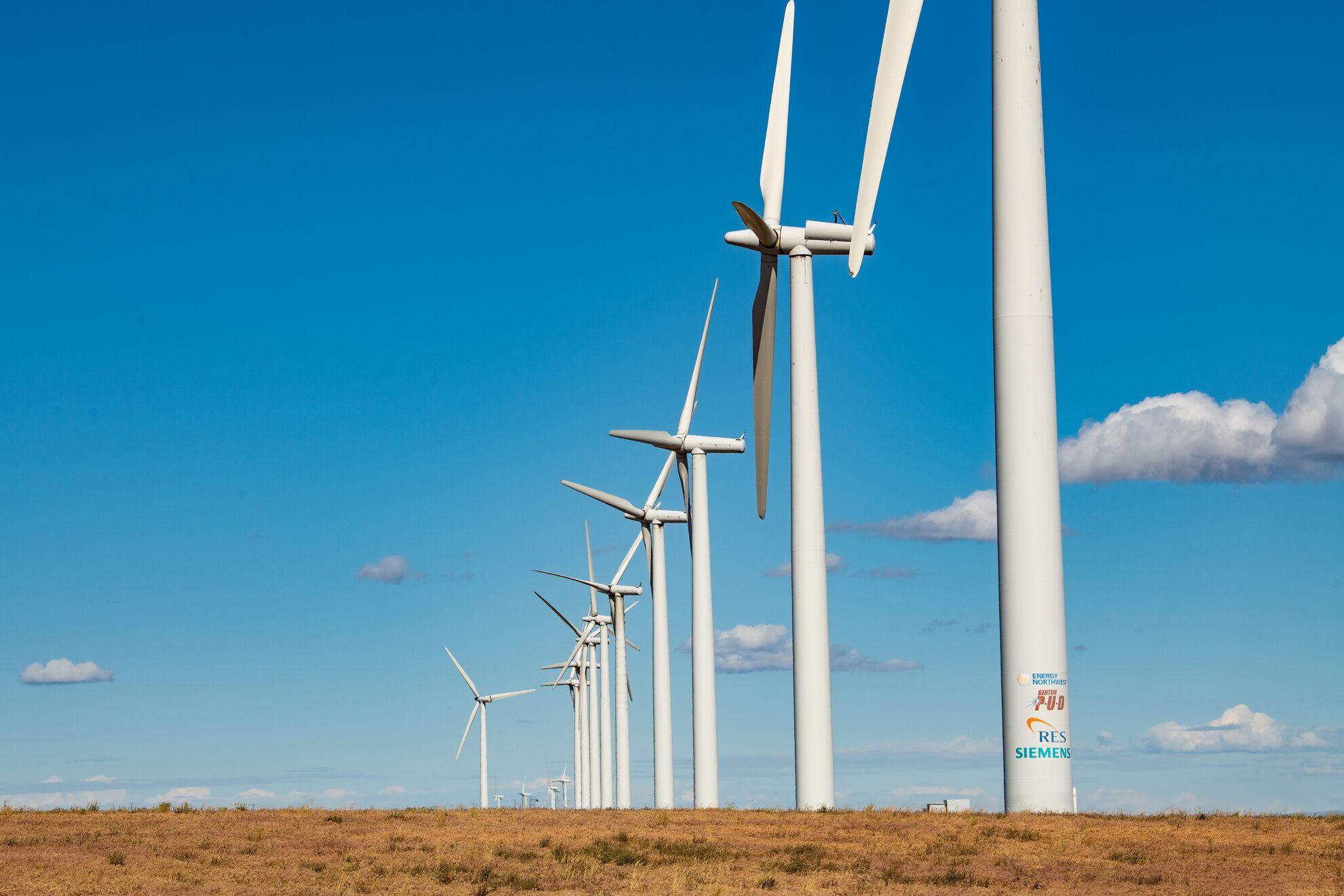 Pacific Northwest National Laboratory has a vast portfolio of research in the areas of offshore wind, distributed wind, wildlife and wind, data management, resource characterization, and uncertainty quantification. (Photo by Andrea Starr | Pacific Northwest national Laboratory) 