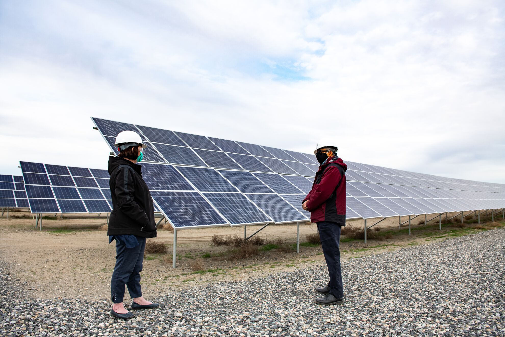 Solar panels sit in rows, facing skyward, as two staff members look over them